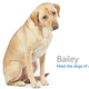 Image for article titled Amazon's Error Dogs, Ranked